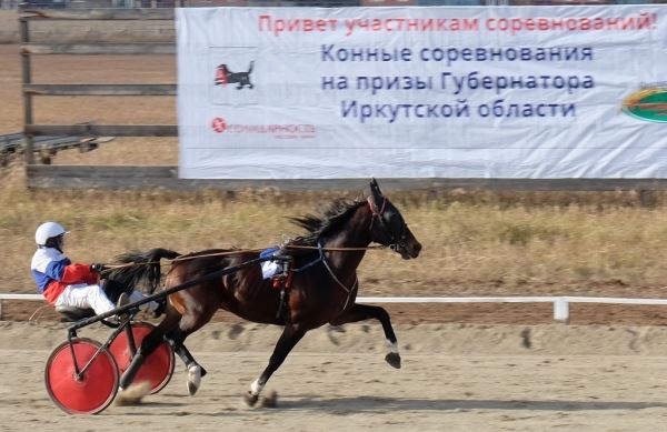 В Иркутской области названы победители конных соревнований на призы Губернатора